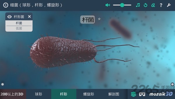 多样细菌立体分析软件