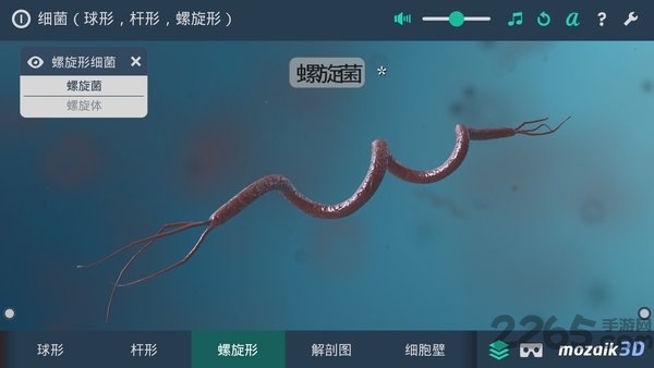 多样细菌立体分析手机版