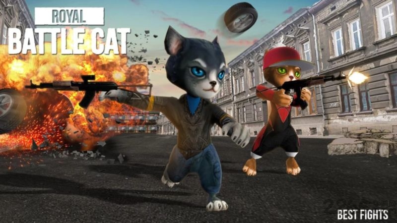 皇家战斗猫手游