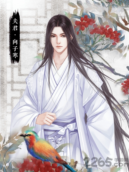 为妻为母橙光破解版