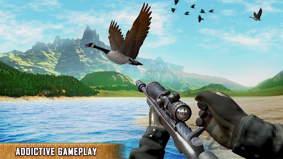 鸟狩猎挑战2020手游