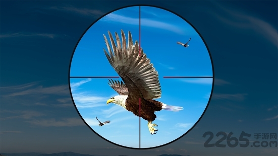 鸟狩猎挑战2020手游