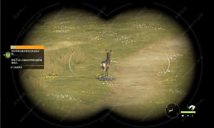 动物狩猎模拟最新版