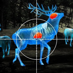 超级狩猎英雄游戏