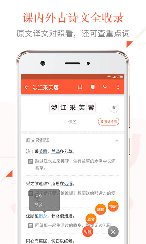 有道语文达人app