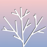 旋转之树内购破解版