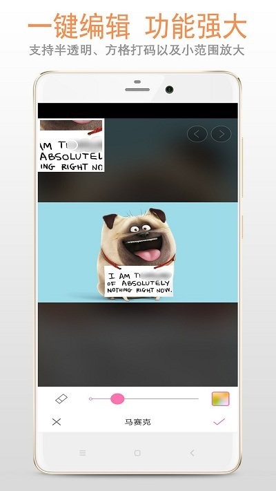 马赛克打码应用